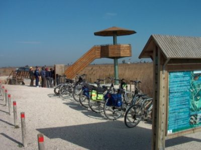 bicicleta-parc-deltaventur-delta-ebre-